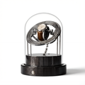 Carbon Fiber Gyroscopic Watch Winder