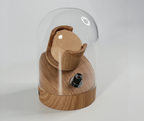 Glass Dome Watch Winder, view 7